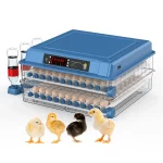 Dual Dower Supply Automatic 320 Capacity Quail Egg Incubator 128 Capacity Chicken Egg Incubator